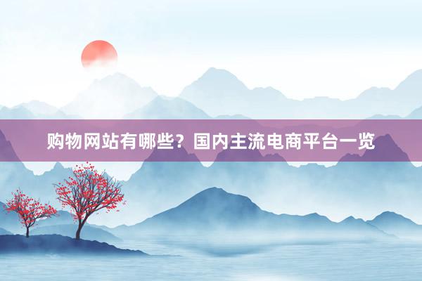 购物网站有哪些？国内主流电商平台一览